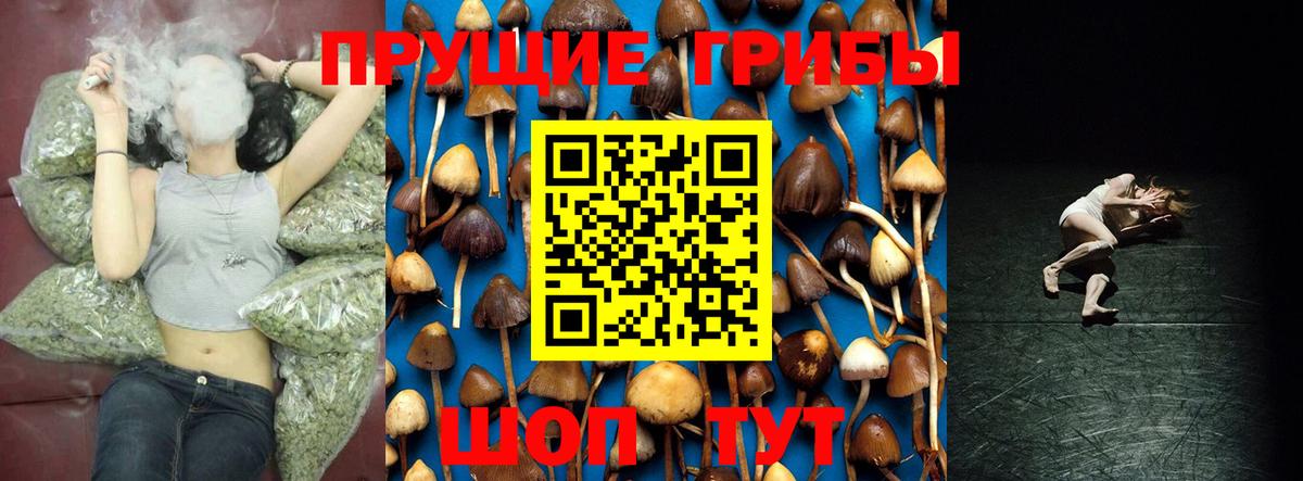 Бошки Шишки Клин